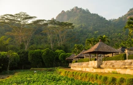 amanjiwo-indonesia-bales-and-rice-fields_high-res_1078