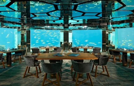 sea-restaurant_0