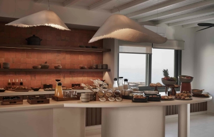 Andronis Minois, Paros, Greece. Hotel Review by TravelPlusStyle. Photo © Andronis