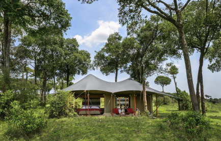 a-contemporary-take-on-safari-camp-design