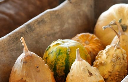 Argos in Cappadocia, Turkey. TravelPlusStyle.com