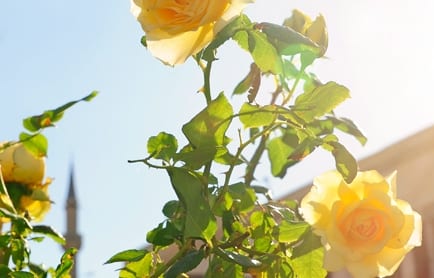 Argos in Cappadocia, Turkey. TravelPlusStyle.com