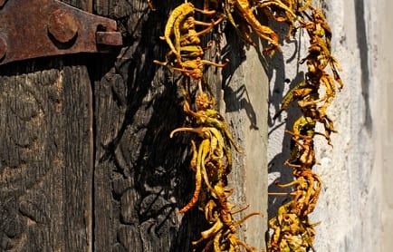 Argos in Cappadocia, Turkey. TravelPlusStyle.com