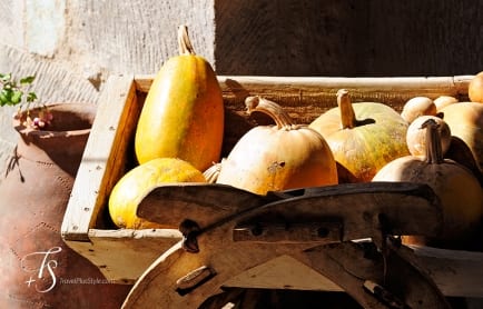 Argos in Cappadocia, Turkey. TravelPlusStyle.com