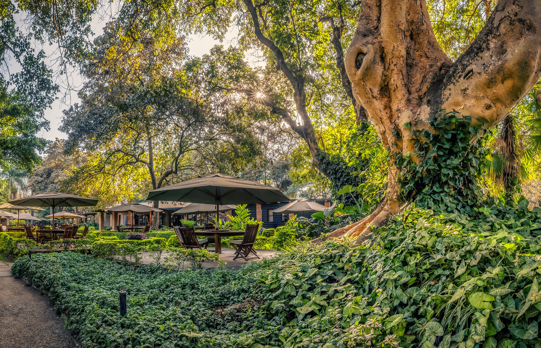 Arusha Coffee Lodge, Tanzania. Hotel Review by TravelPlusStyle. Photo © Elewana Collection Arusha-Coffee-Lodge_6