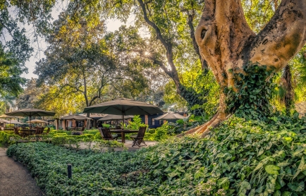 Arusha-Coffee-Lodge_6