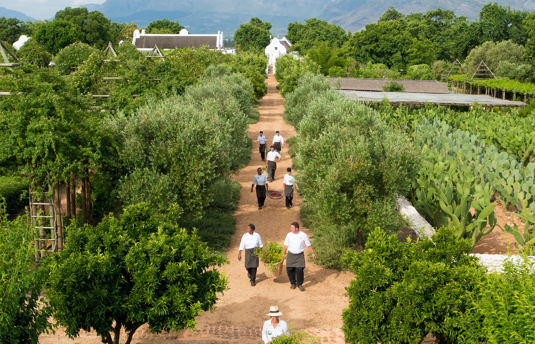 Babylonstoren, South Africa. Hotel Review by TravelPlusStyle. Photo © Babylonstoren