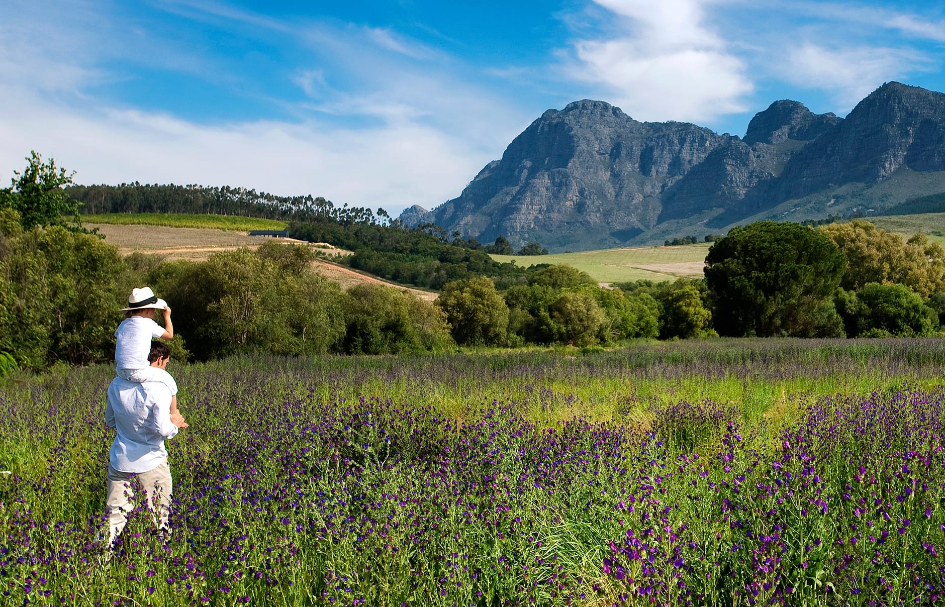 Babylonstoren, South Africa. Hotel Review by TravelPlusStyle. Photo © Babylonstoren