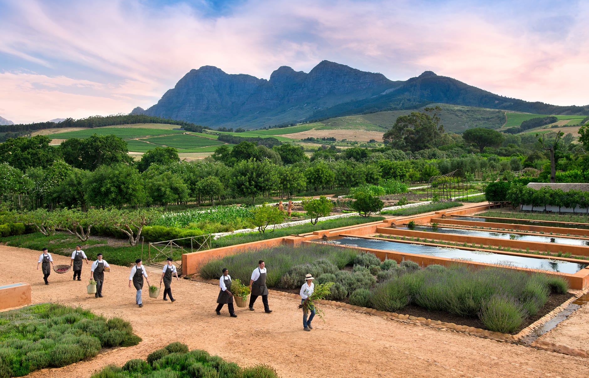 Babylonstoren, South Africa. Hotel Review by TravelPlusStyle. Photo © Babylonstoren