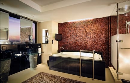 25559122-h1-presidential-suite-bathroom