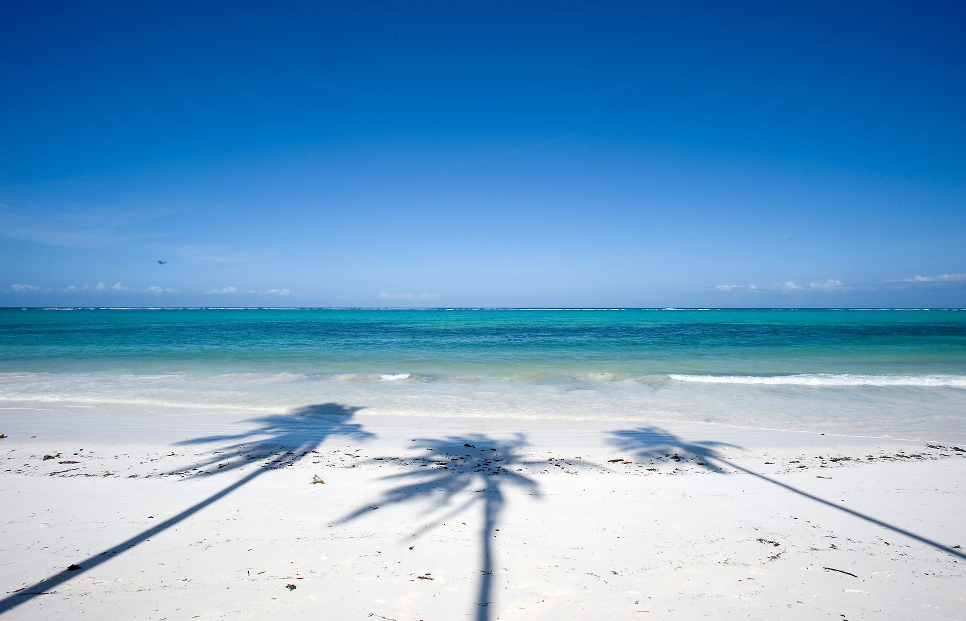 Main pool. Baraza Resort & Spa, Zanzibar, Tanzania. Hotel Review by TravelPlusStyle. Photo © Baraza Resort & Spa