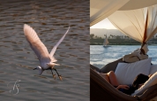 Hilton Luxor Resort & Spa © TravelPlusStyle.com