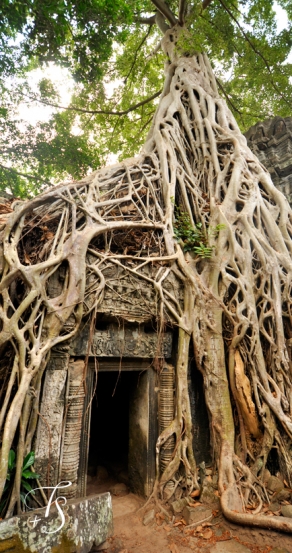 Ta Prohm, Siem Reap. Cambodia. ©Travel+Style