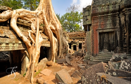 Ta Prohm, Siem Reap. Cambodia. ©Travel+Style