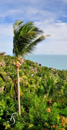 View from the restaurant. Four Seasons Resort Koh Samui. © Travel+Style