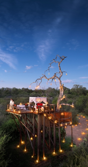 The Chalkley Treehouse. © Lion Sands Private Game Reserve