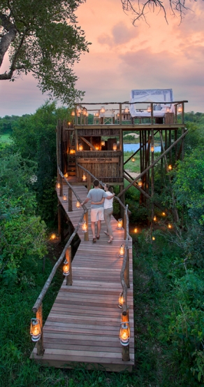 The Tinyeleti Treehouse. © Lion Sands Private Game Reserve