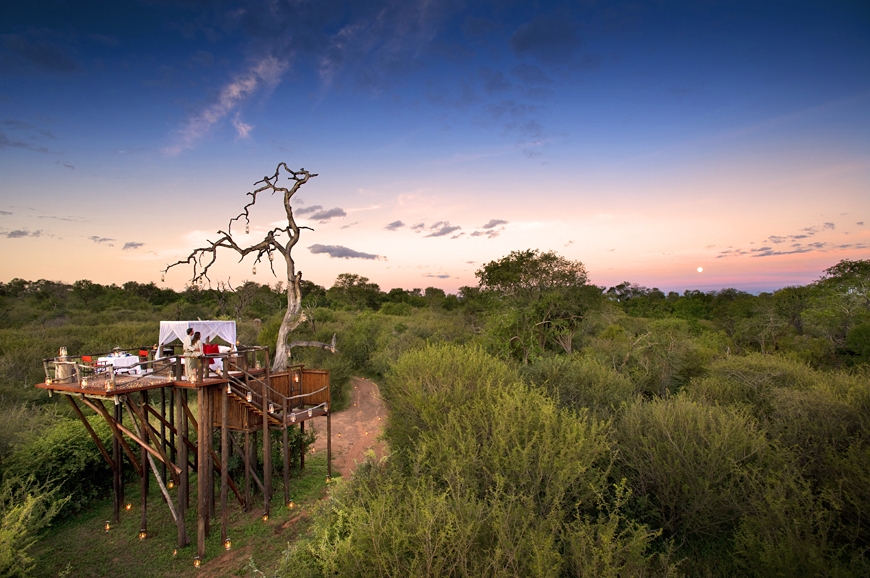 The Chalkley Treehouse. © Lion Sands Private Game Reserve