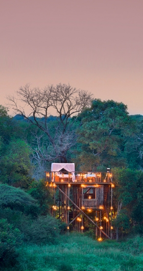 The Tinyeleti Treehouse. © Lion Sands Private Game Reserve