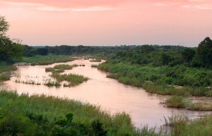 The Tinyeleti Treehouse. © Lion Sands Private Game Reserve