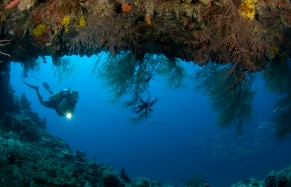 House Reef. Dusit Thani Maldives. © Dusit International