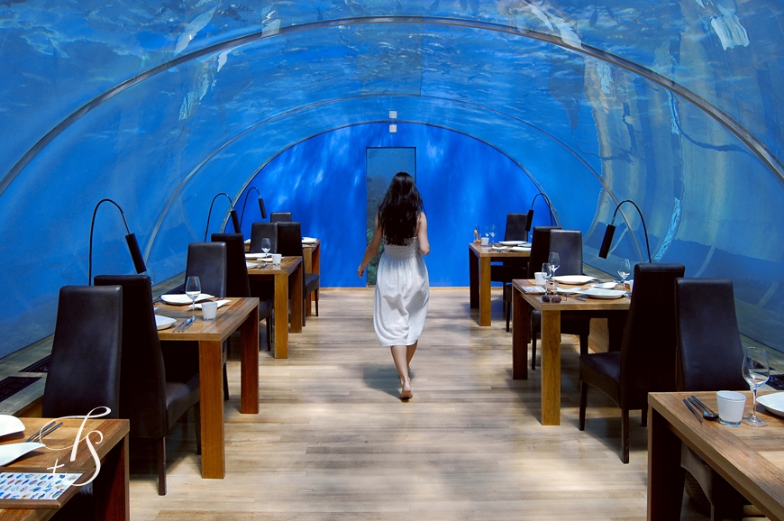 Ithaa Undersea Restaurant, Conrad Maldives Rangali Islandi. © TravelPlusStyle.com