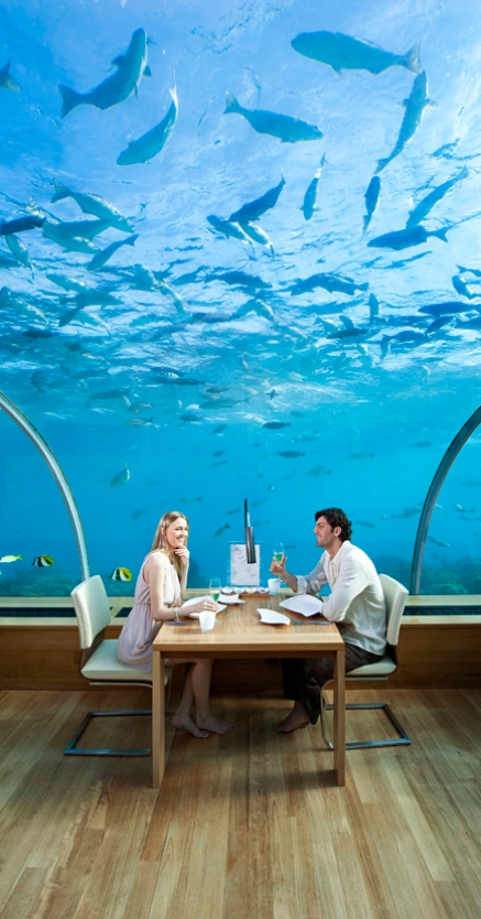 Ithaa Undersea Restaurant, Conrad Maldives Rangali Island. TravelPlusStyle.com