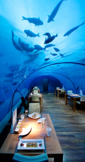 Ithaa Undersea Restaurant, Conrad Maldives Rangali Island. TravelPlusStyle.com