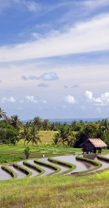 Ketapang Estate, Bali. TravelPlusStyle.com