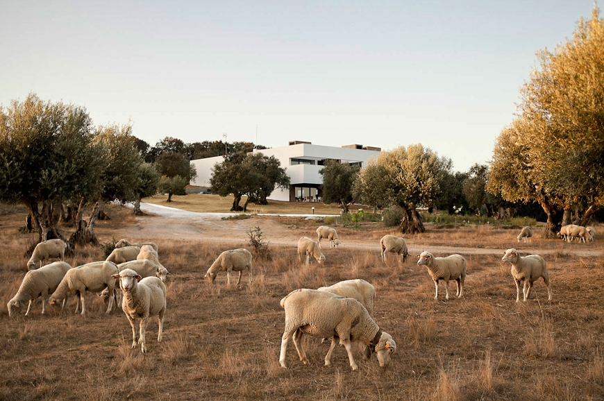 VILLA EXTRAMUROS. Alentejo, Portugal. travelplusstyle.com