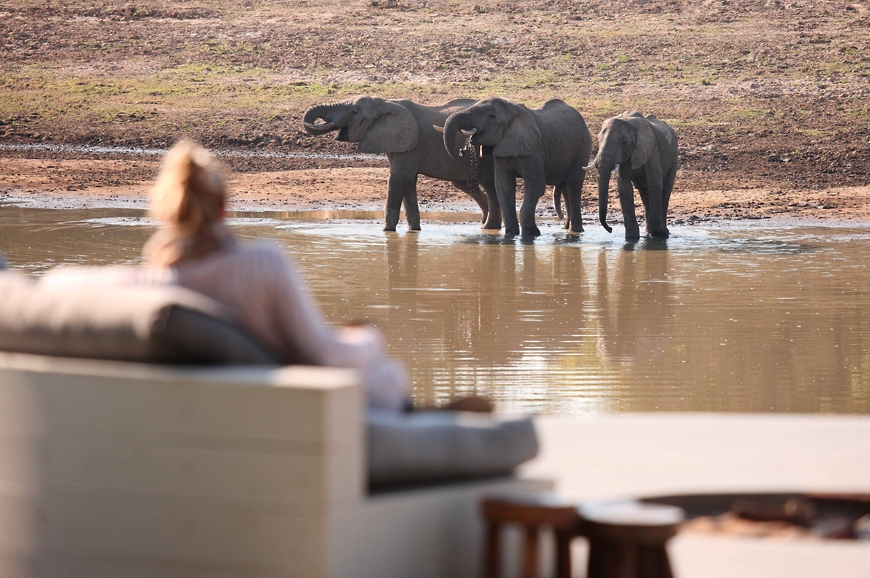 Watching eles drink from the lounge. Chinzombo Camp, Zambia. travelplusstyle.com