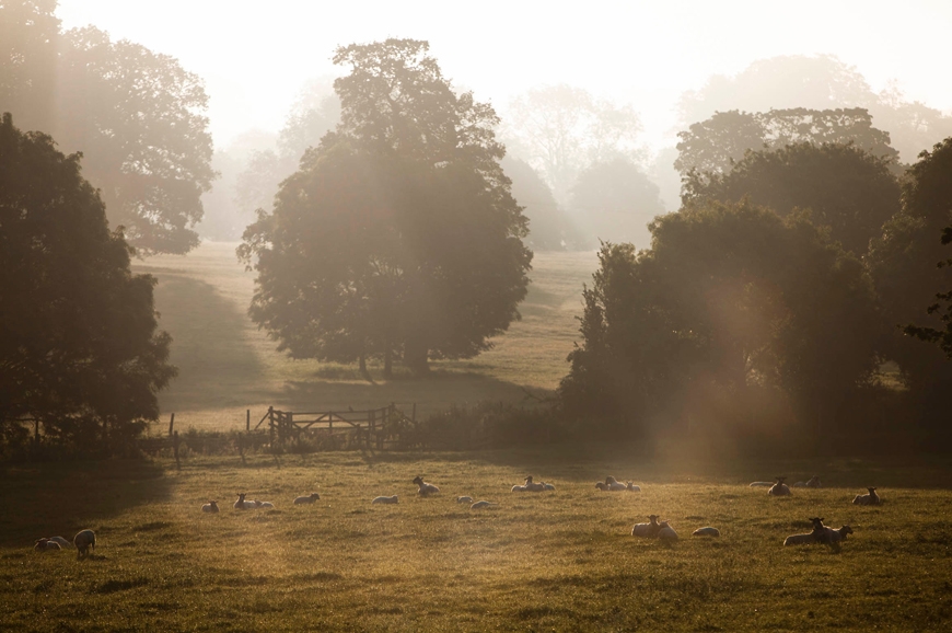 The Wild Rabbit in Kingham. travelplusstyle.com