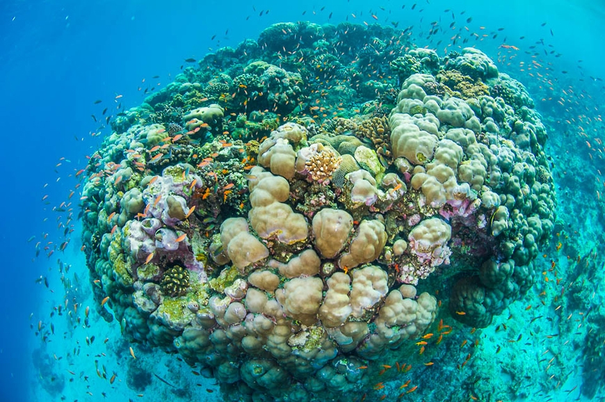 The Manta Resort- Underwater Room Off Pemba Island, Tanzania. travelplusstyle.com