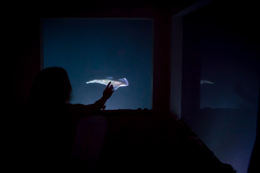 The Manta Resort- Underwater Room Off Pemba Island, Tanzania. travelplusstyle.com