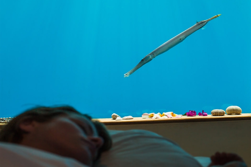 The Manta Resort- Underwater Room Off Pemba Island, Tanzania. travelplusstyle.com