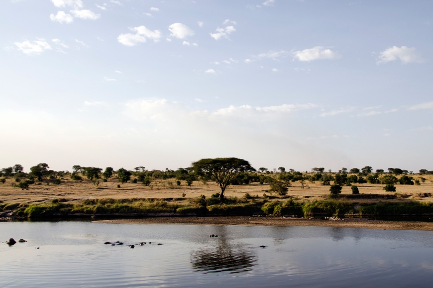 Nomads Lamai Serengeti. travelplusstyle.com