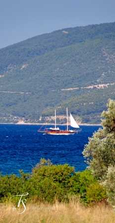 Amanruya, Bodrum, Turkey. travelplusstyle.com