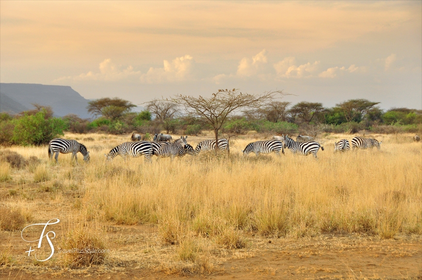 Maasai,Shompole,Kenya_travelplusstyle.com