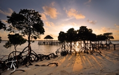 Red Pepper House, Lamu, Kenya. travelplusstyle.com