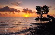 Red Pepper House, Lamu, Kenya. travelplusstyle.com