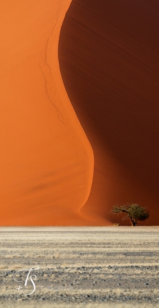 Little Kulala, Namibia. © TravelPlusStyle.com