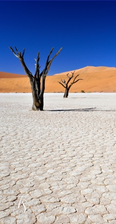 Little Kulala, Namibia. © TravelPlusStyle.com