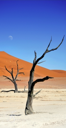 Little Kulala, Namibia. © TravelPlusStyle.com