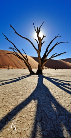 Little Kulala, Namibia. © TravelPlusStyle.com