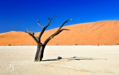 Little Kulala, Namibia. © TravelPlusStyle.com