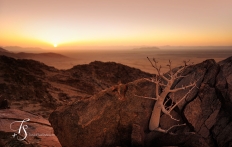 Little Kulala, Namibia. © TravelPlusStyle.com