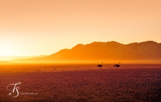 Little Kulala, Namibia. © TravelPlusStyle.com