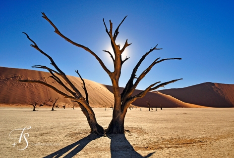 Sossusvlei, Namibia. TravelPlusStyle.com