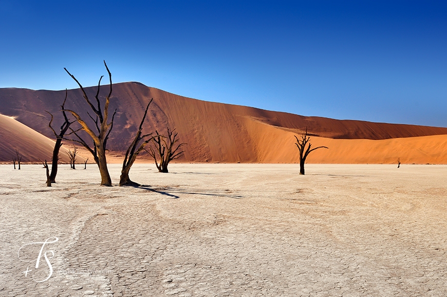 Sossusvlei, Namibia. TravelPlusStyle.com