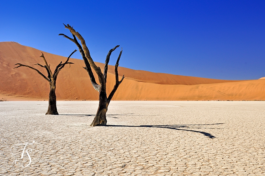 Sossusvlei, Namibia. TravelPlusStyle.com